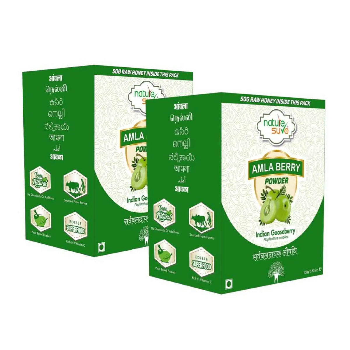 Nature Sure Amla Berry Powder 2x100g – With Free Raw Honey 50g, AYUSH-Certified