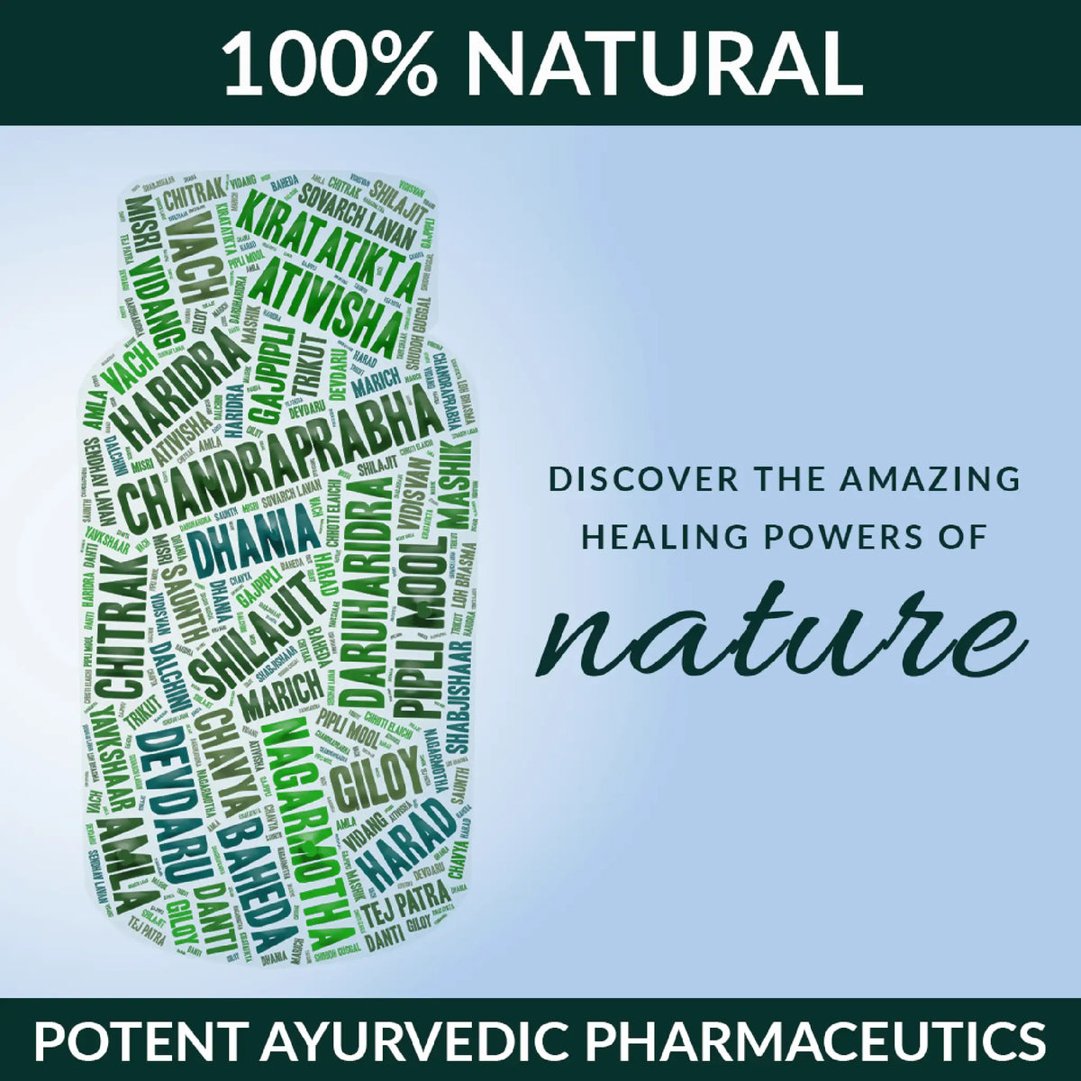Nature Sure Chandraprabha Vati - Contains Shilajit, Giloy, Chitrak, Haridra, Amla, Devdaru, Baheda, Dalchini and Other Herbs