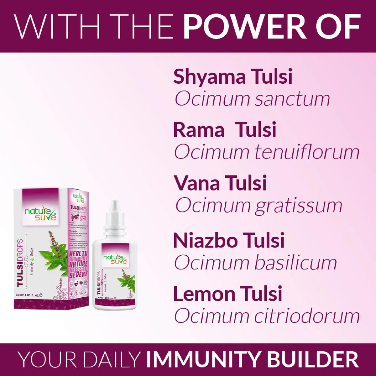 Nature Sure Tulsi Drops – Five Types of Holy Basil: Shyama, Rama, Vana, Niazbo and Lemon Tulsi