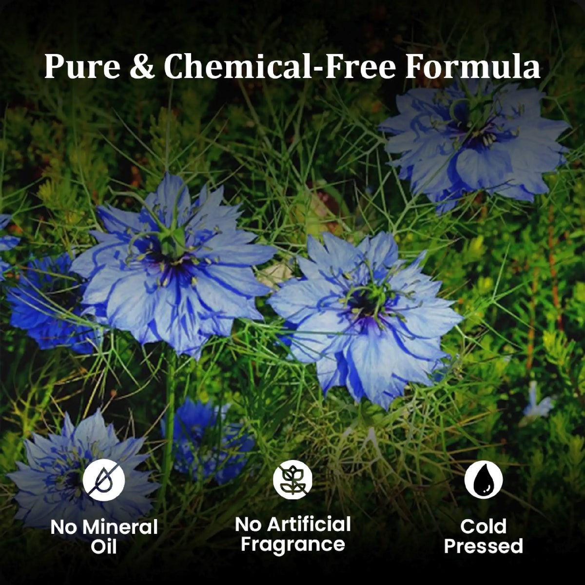 Nature Sure Kalonji Tel – Cold-Pressed, Hexane-Free, No Mineral Oil or Artificial Fragrance