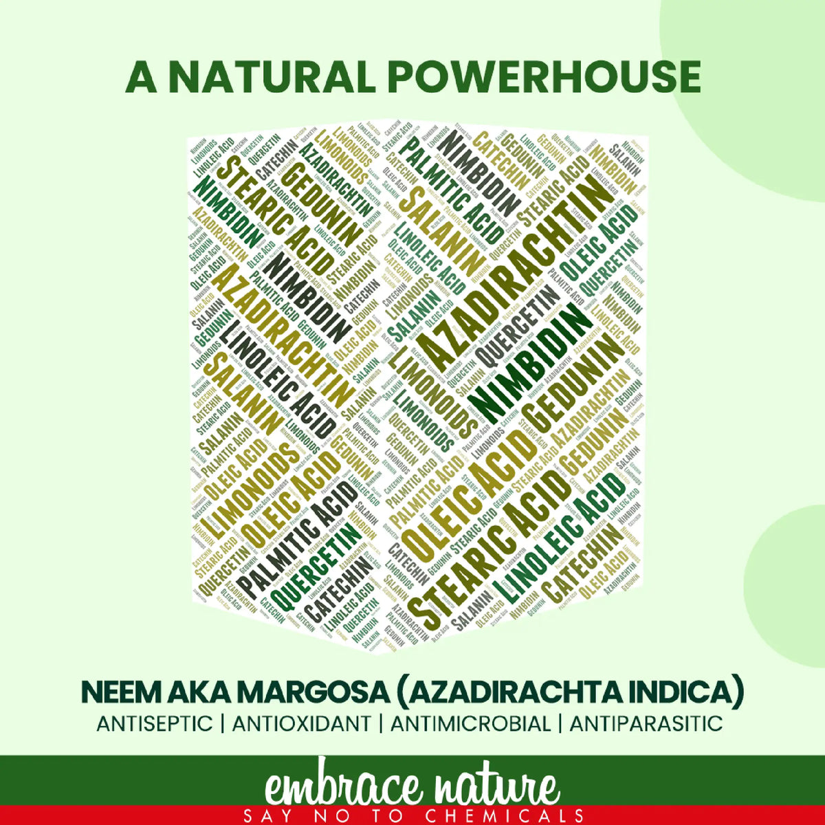 Nature Sure Neem Powder - Herbal Powerhouse Containing Azadirachtin, Nimbidin and Quercetin
