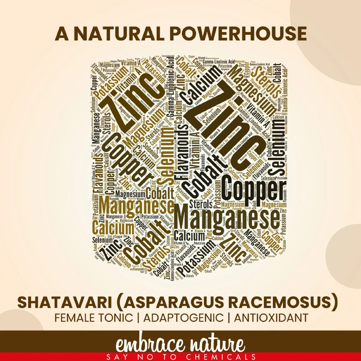 Nature Sure Shatavari Powder – Natural Adaptogenic and Antioxidant Rich in Minerals
