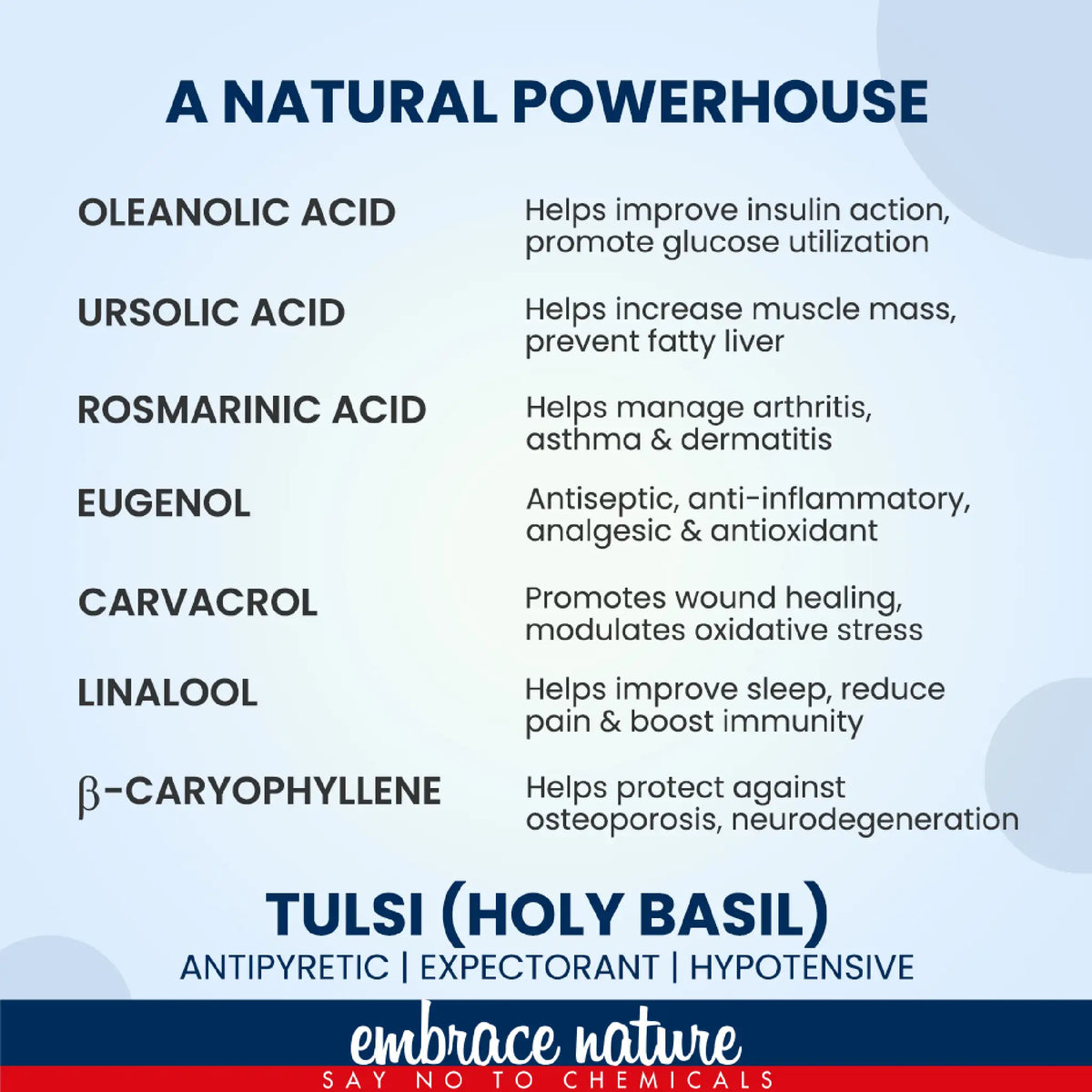 Nature Sure Tulsi Leaf Powder - Natural Superfood Rich in Oleanolic Acid, Ursolic Acid, Rosamarinic Acid and Eugenol