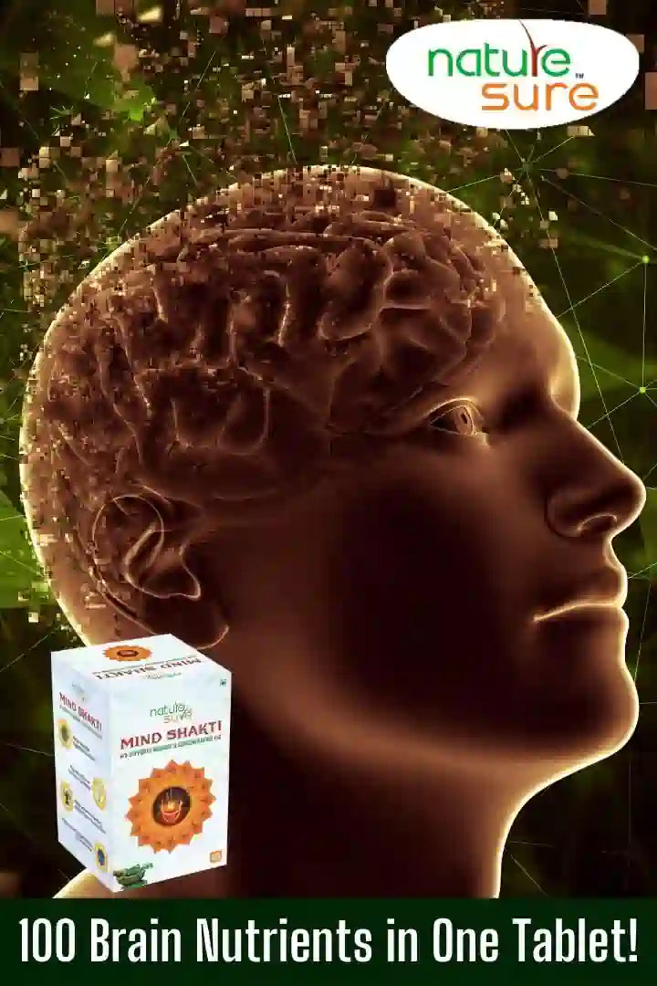 Blog: Know About Top 5 Most Important Brain Foods for Memory and Concentration - everteen-neud.com
