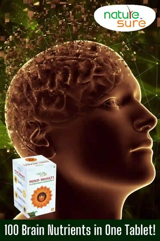Blog: Know About Top 5 Most Important Brain Foods for Memory and Concentration - everteen-neud.com