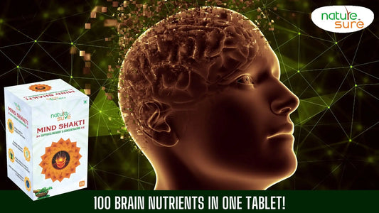 Blog: Know About Top 5 Most Important Brain Foods for Memory and Concentration - everteen-neud.com