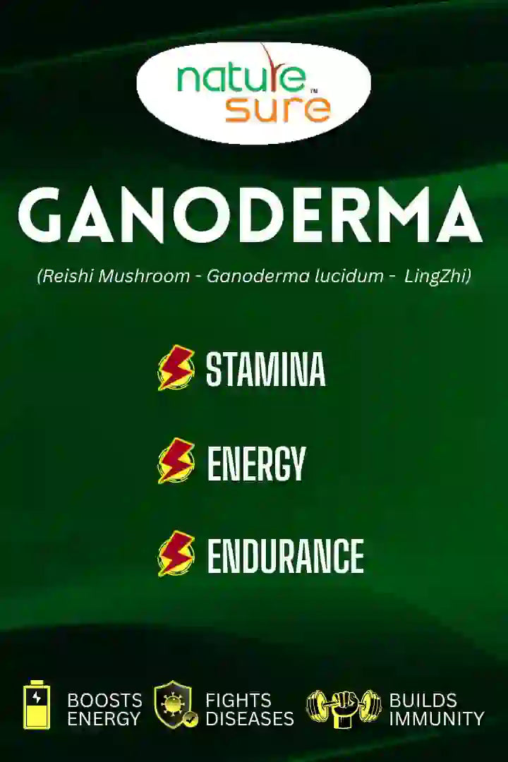 Blog: Ganoderma aka Reishi Mushroom helps supercharge your immune system - everteen-neud.com