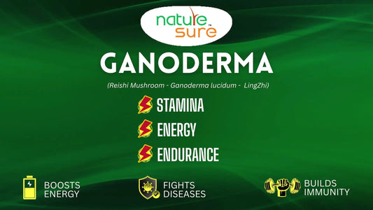 Blog: Ganoderma aka Reishi Mushroom helps supercharge your immune system - everteen-neud.com