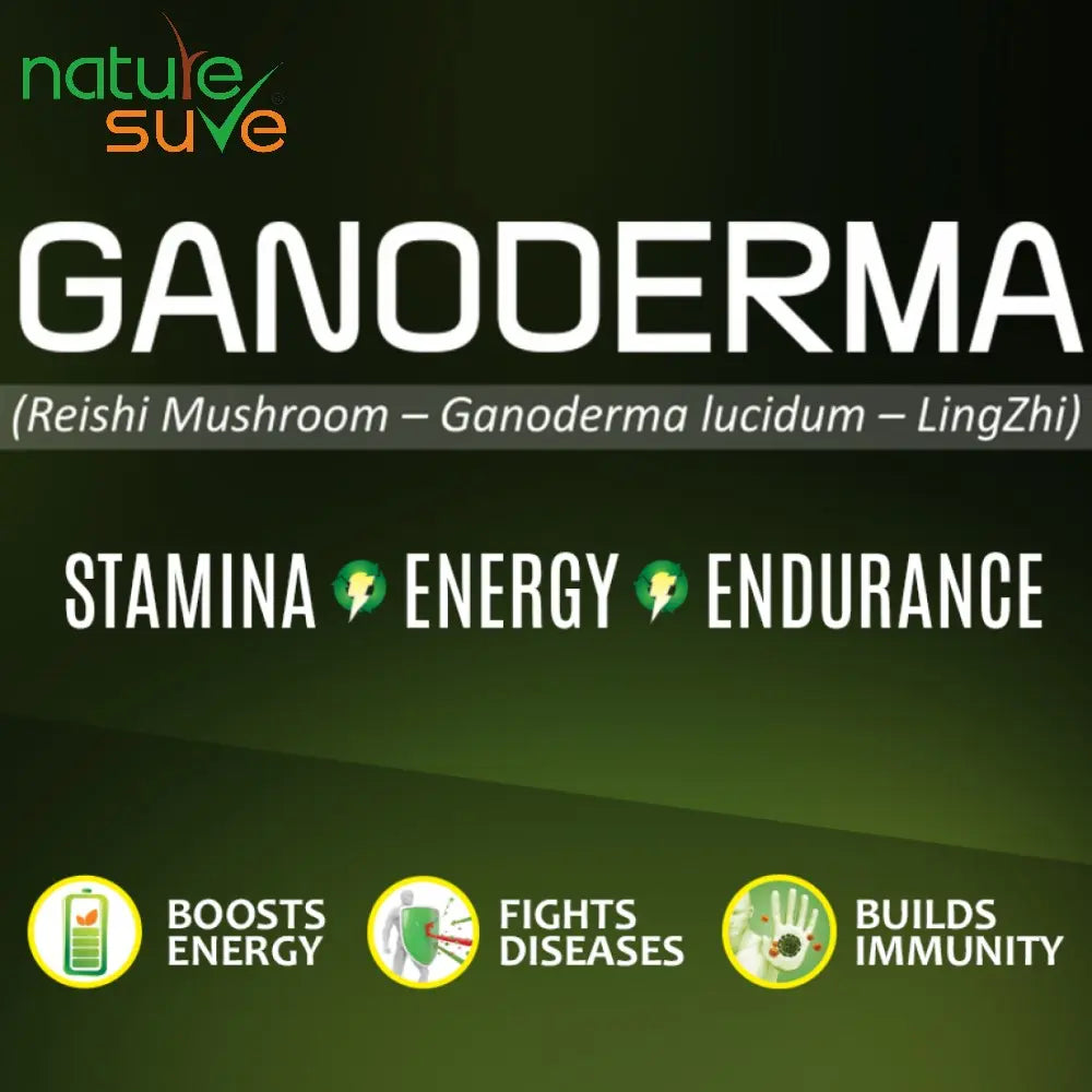 Ganoderma aka Reishi Mushroom helps supercharge your immune system