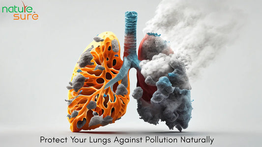 Blog: Protect Lungs Against Pollution, Smog and High AQI Naturally - Nature Sure