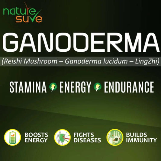 Ganoderma aka Reishi Mushroom helps supercharge your immune system