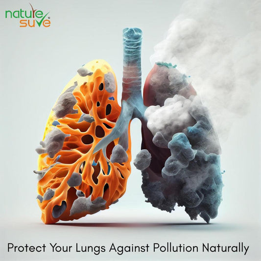 Protect Lungs Against Pollution, Smog and High AQI Naturally - Nature Sure Blogs