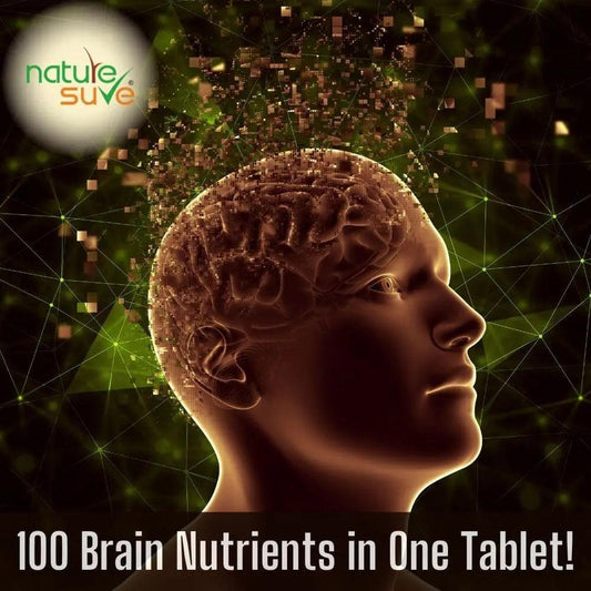 Know About Top 5 Most Important Brain Foods for Memory and Concentration