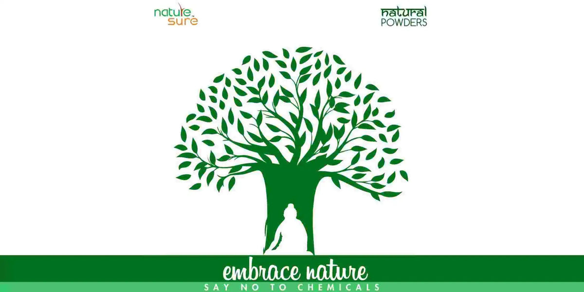 Nature Sure Ayurvedic wellness powders including shikakai, bhringraj, moringa, triphala, amla and Multani Mitti