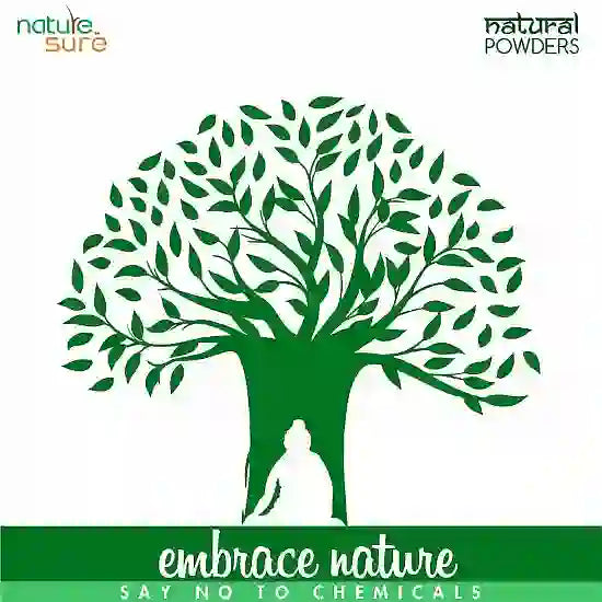 Buy certified natural wellness powders directly from company - everteen-neud.com