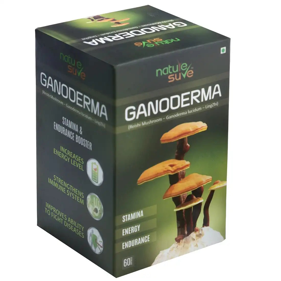 Buy 1 Pack Nature Sure Ganoderma LingZhi Reishi Mushroom 60 Capsules for Stamina, Endurance and Longevity - everteen-neud.com