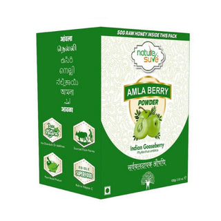 Nature Sure Amla Berry Powder - 1x100g Pack