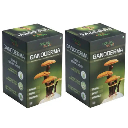 Buy 2 Packs Nature Sure Ganoderma LingZhi Reishi Mushroom 60 Capsules for Stamina, Endurance and Longevity - everteen-neud.com