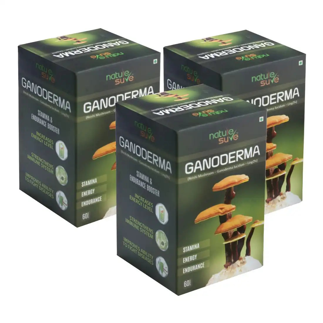 Buy 3 Packs Nature Sure Ganoderma LingZhi Reishi Mushroom 60 Capsules for Stamina, Endurance and Longevity - everteen-neud.com
