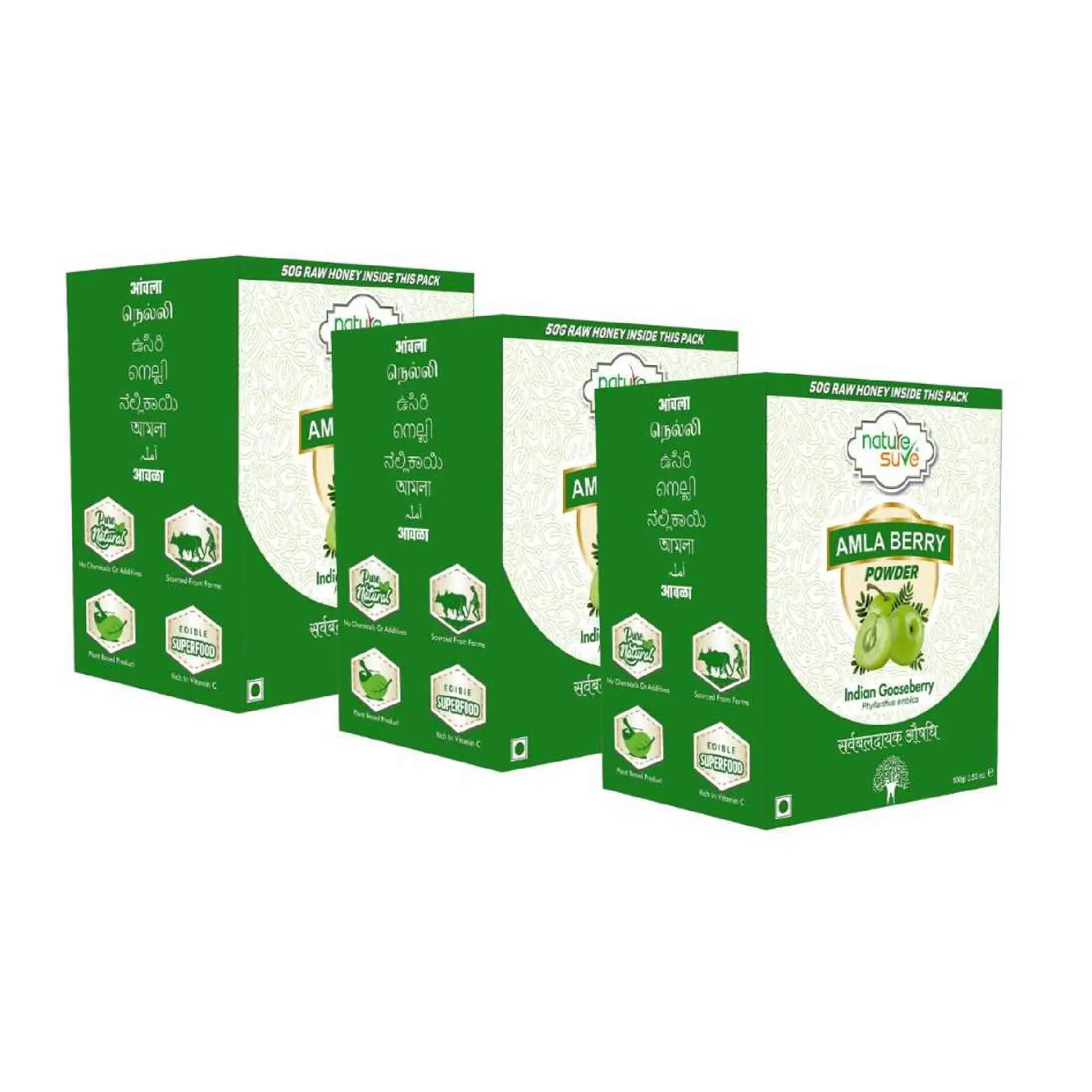 Nature Sure Amla Berry Powder - 3x100g Pack