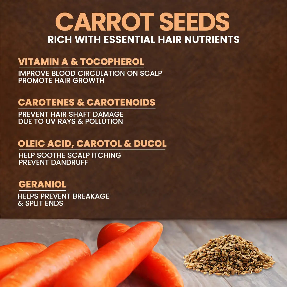 Carrot Seeds are naturally rich in hair nutrients good for scalp and hair - everteen-neud.com 