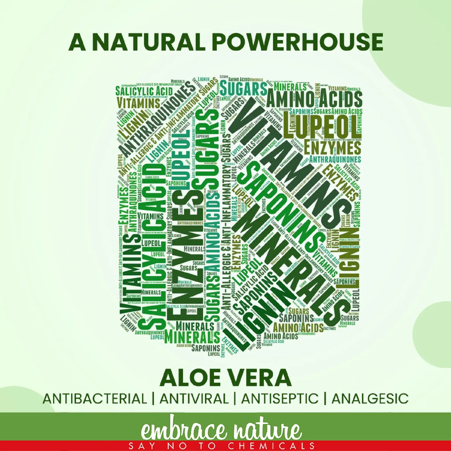 Nature Sure Aloe Vera Leaf Powder - Edible Superfood Rich in Vitamins, Enzymes, Salicylic Acid, Amino Acids, Minerals and More