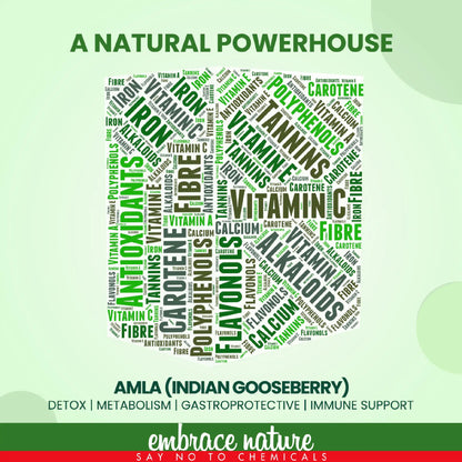 Nature Sure Amla Berry Powder - Beneficial For Metabolism, Gastroprotective and Immune Support