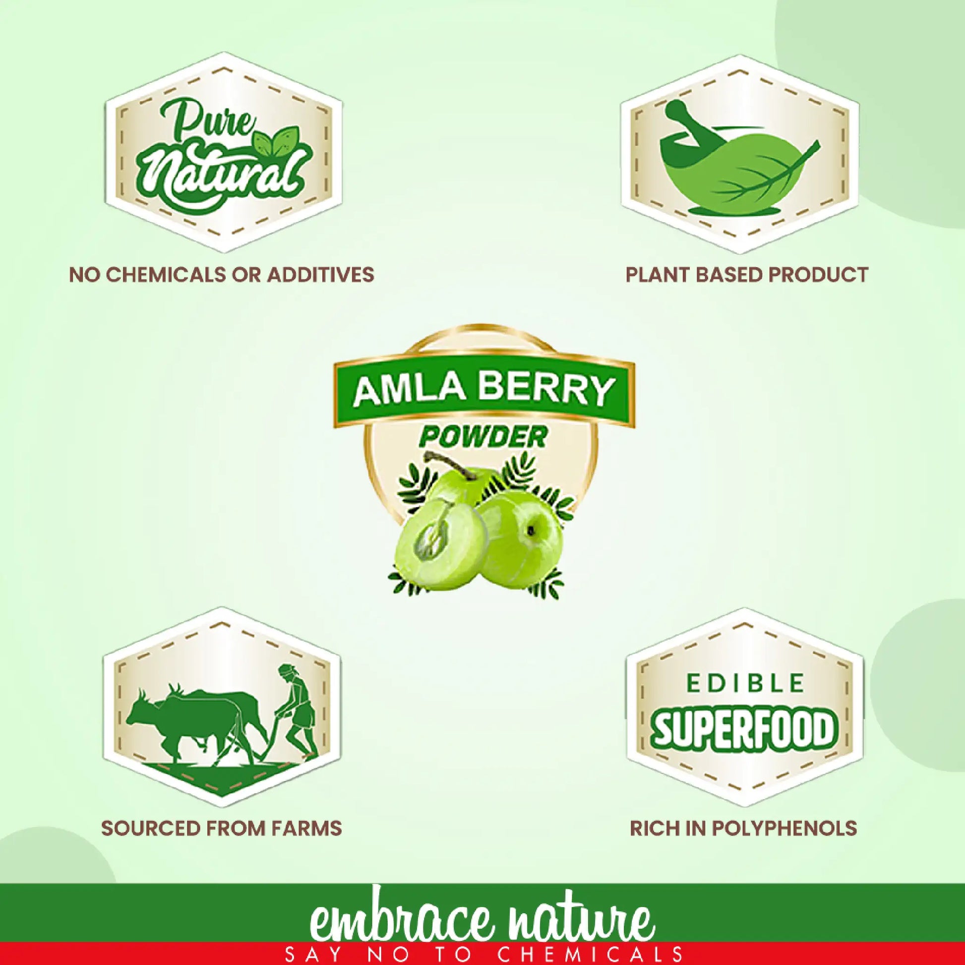 Nature Sure Amla Powder 100g - Pure, Unadulterated, Sourced From Farms
