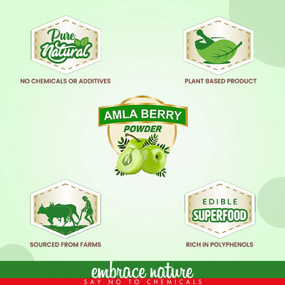 Nature Sure Amla Powder 100g - Pure, Unadulterated, Sourced From Farms