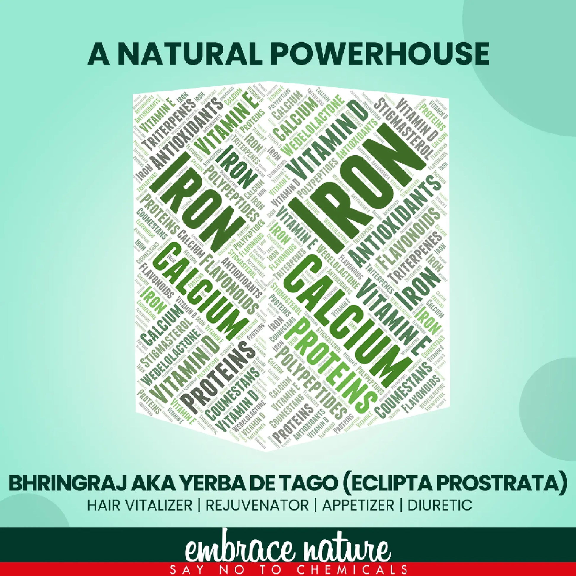 Nature Sure Bhringraj Powder - aka Yerba De Tago - Hair Vitalizer, Rejuvenator, Appetizer