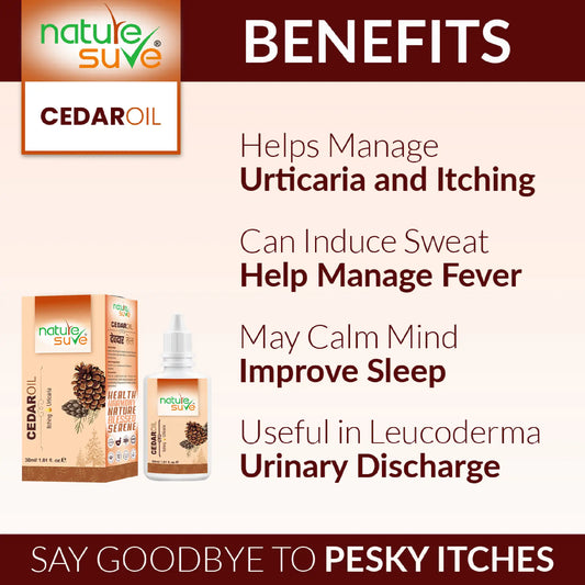 Nature Sure Cedar Deodar Oil – Ayurvedic Topical Oil for Skin and Scalp Wellness