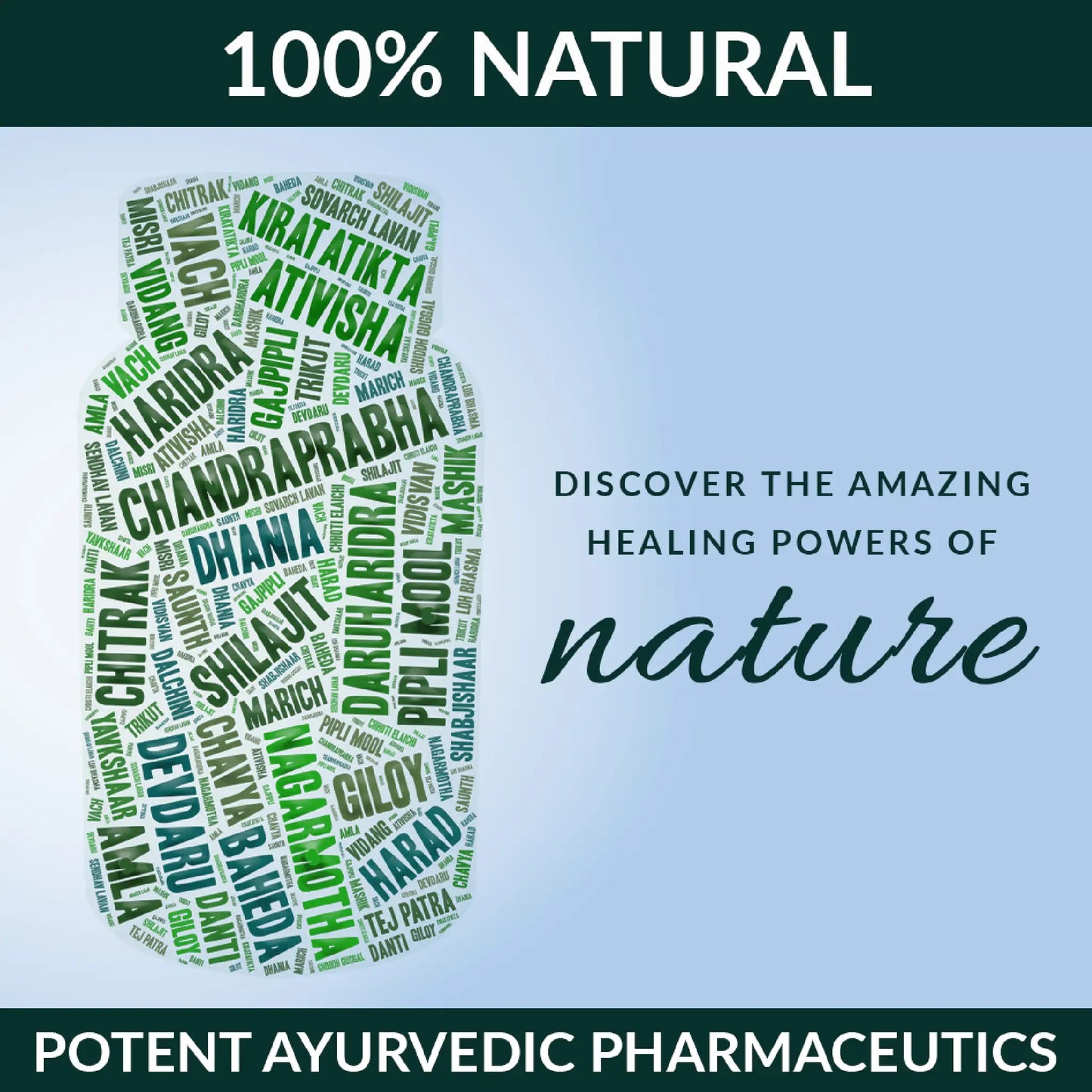 Nature Sure Chandraprabha Vati - Contains Shilajit, Giloy, Chitrak, Haridra, Amla, Devdaru, Baheda, Dalchini and Other Herbs
