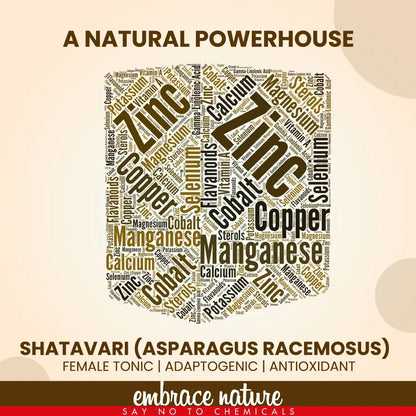 Nature Sure Shatavari Asparagus Powder 100g is a natural adaptogenic and antioxidant - everteen-neud.com