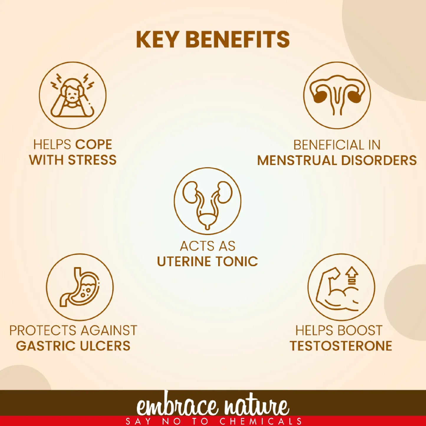 Nature Sure Shatavari Powder – Ayurvedic Female Tonic for Hormonal and Reproductive Wellness