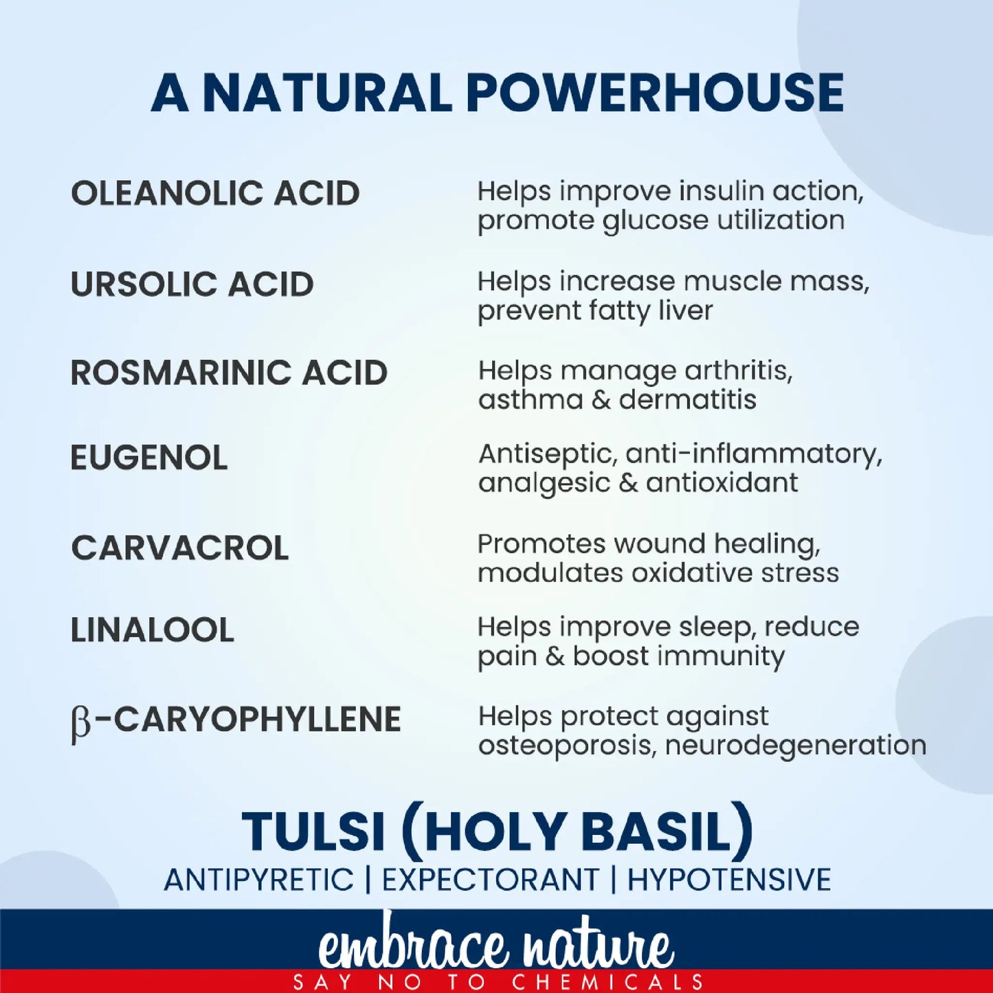 Nature Sure Tulsi Leaf Powder - Natural Superfood Rich in Oleanolic Acid, Ursolic Acid, Rosamarinic Acid and Eugenol