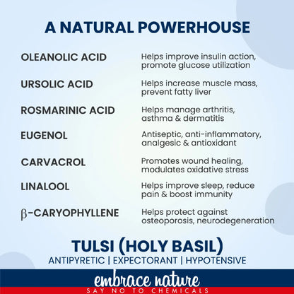 Nature Sure Tulsi Leaf Powder - Natural Superfood Rich in Oleanolic Acid, Ursolic Acid, Rosamarinic Acid and Eugenol