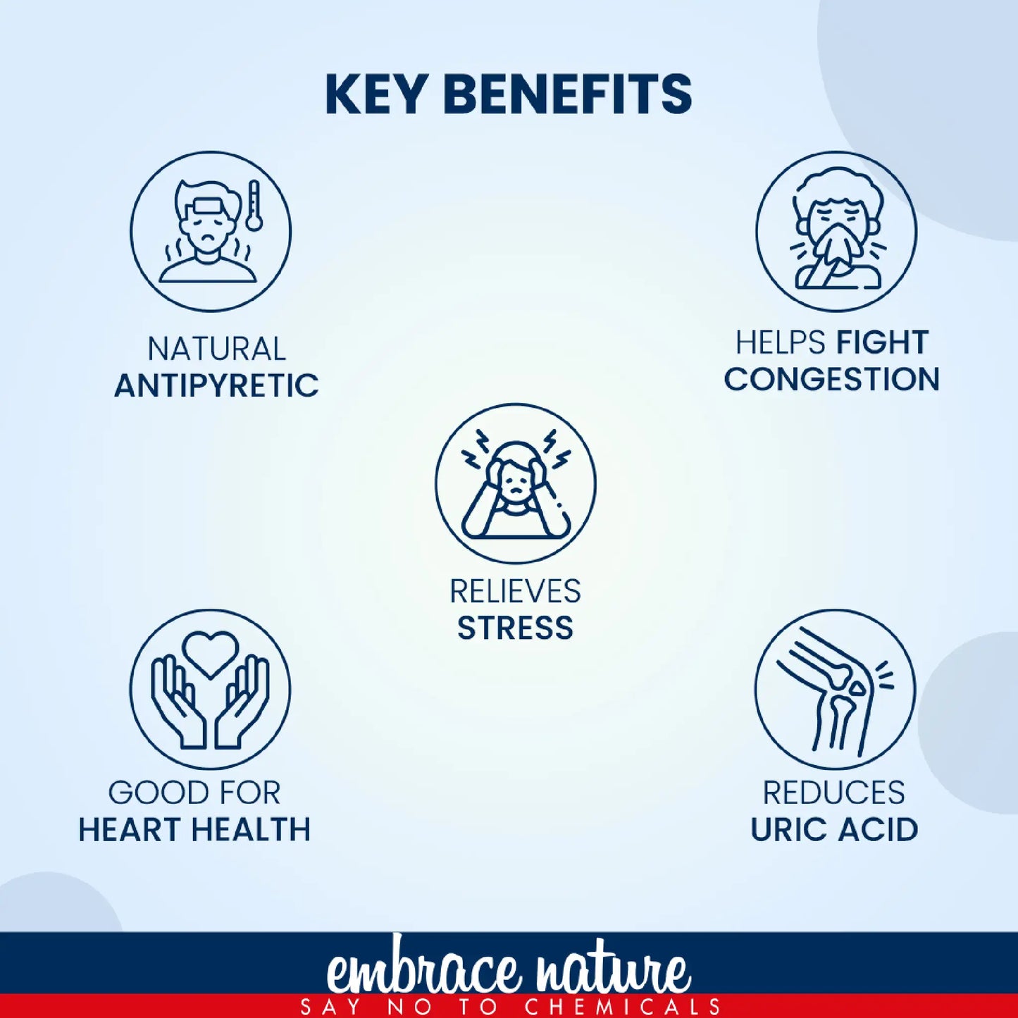 Nature Sure Tulsi Powder - Natural Antipyretic, Stress Support and Respiratory Wellness