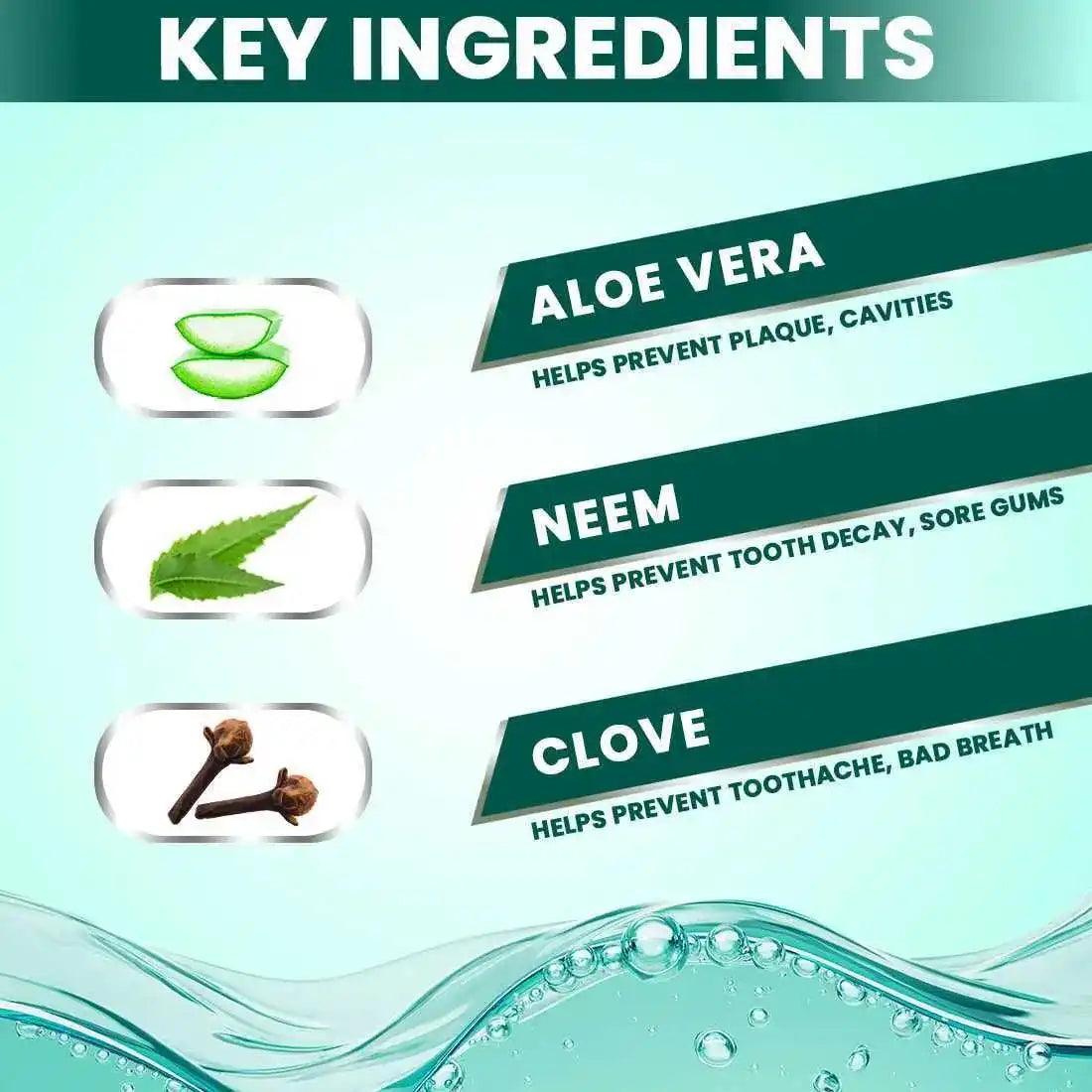 Nature Sure Aloe Vera Mouthwash with Neem and Clove Ayurvedic Formula for Oral Health in Men, Women & Kids - everteen-neud.com