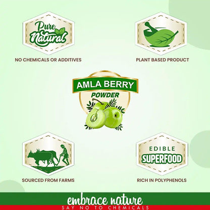 Nature Sure Amla Berry Powder For Skin, Hair and Gut Health - 100g - Official Brand Store: everteen | NEUD | Nature Sure | ManSure