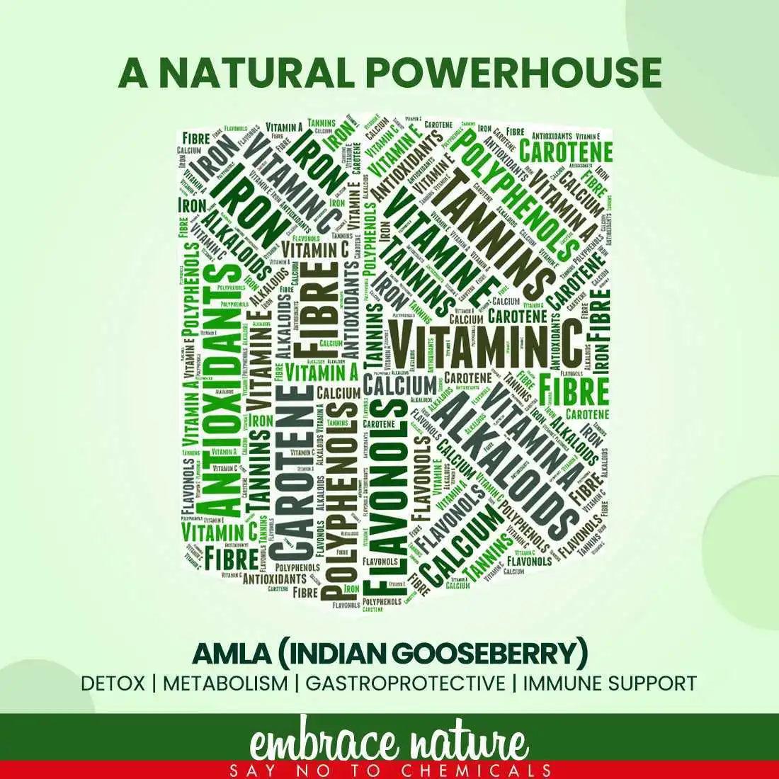 Nature Sure Amla Berry Powder For Skin, Hair and Gut Health - 100g - everteen-neud.com