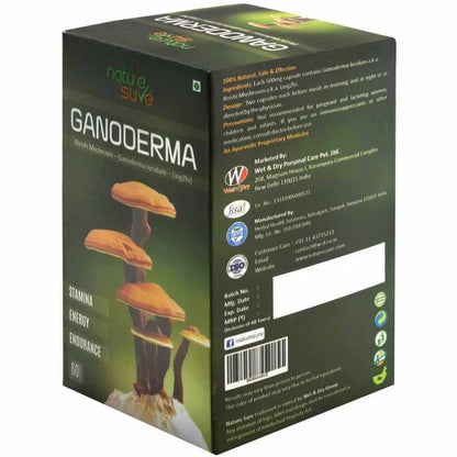 Nature Sure Ganoderma LingZhi Reishi Mushroom for Stamina, Endurance & Longevity (60 Capsules)