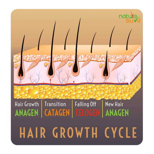 Nature Sure Thumba Wonder Hair Oil - Scientifically Proven to Support Hair Growth Cycle